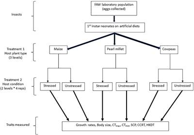 Sub-optimal host plants have developmental and thermal fitness costs to the invasive fall armyworm